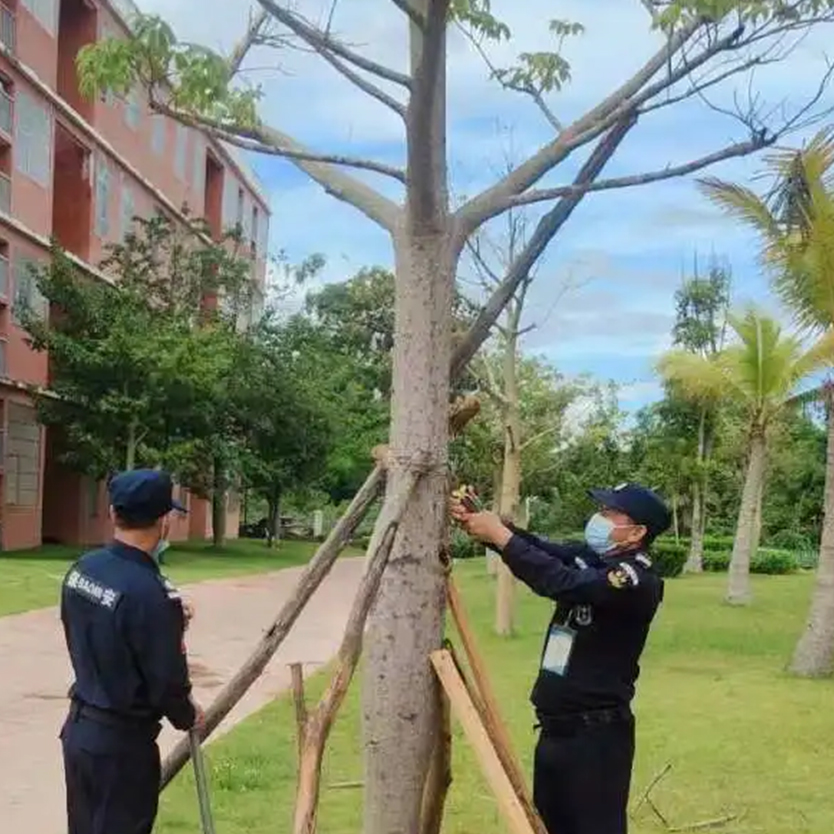 聞“風(fēng)”而動，全力以“復(fù)” | 災(zāi)后重建，百雀人在行動